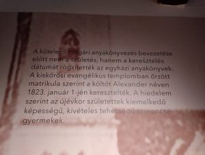 IMG 20250928 142151-masolata